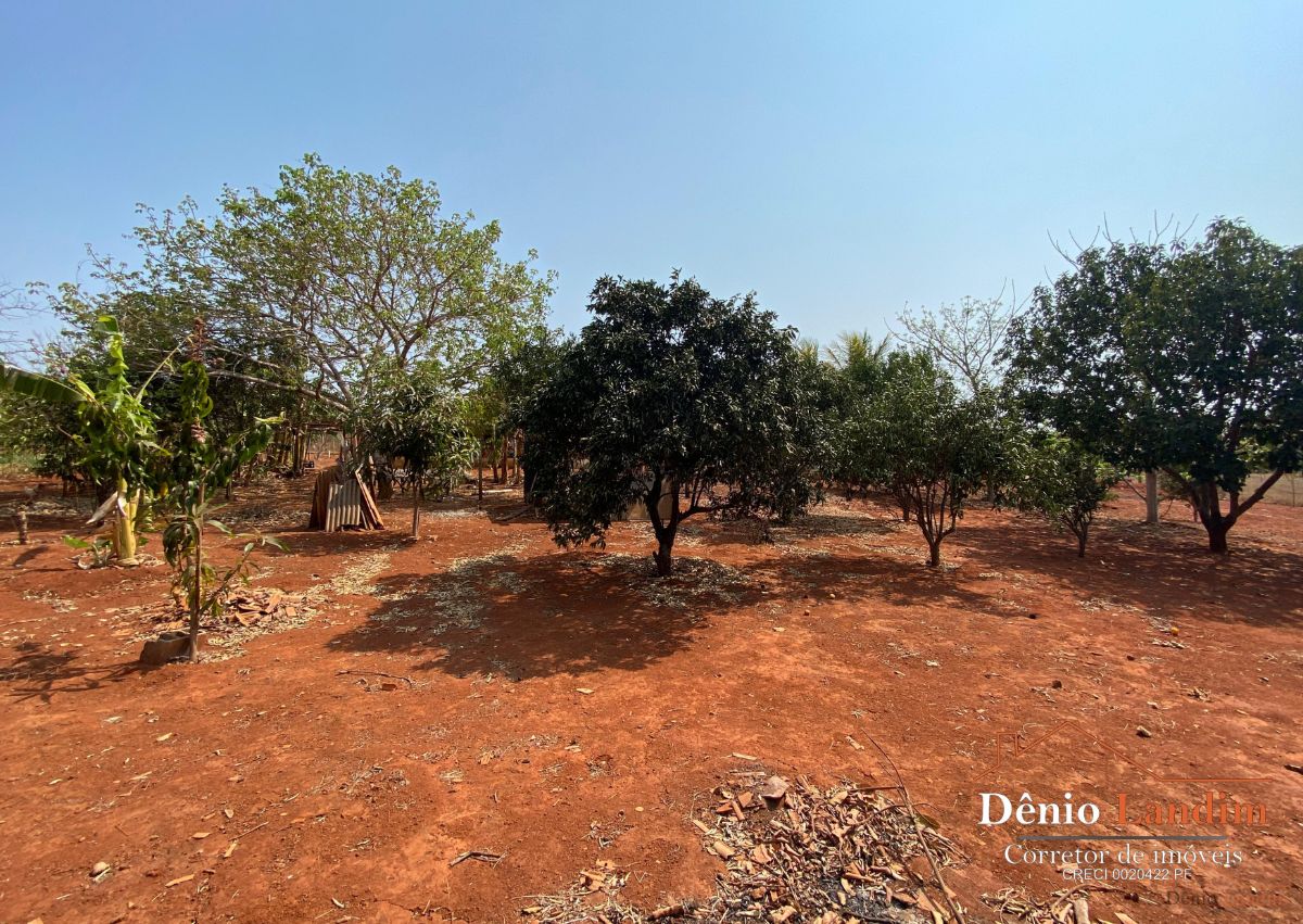 Chácara à venda com 3 quartos, 80m² - Foto 6